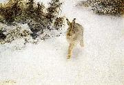 bruno liljefors Winter Hare oil painting on canvas